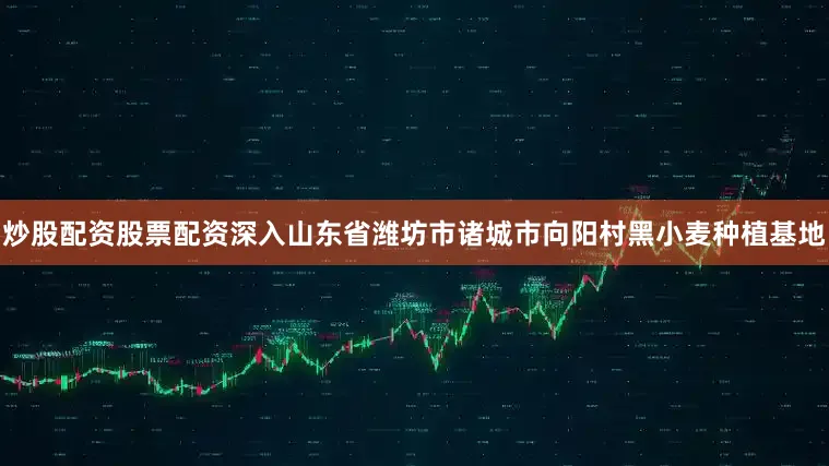 炒股配资股票配资深入山东省潍坊市诸城市向阳村黑小麦种植基地